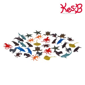 37673-[캐스B]네이처 동물왕국해양(2550)