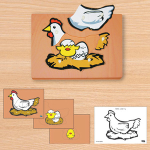 19219-[C0230]닭 성장 퍼즐 (3단겹침) 